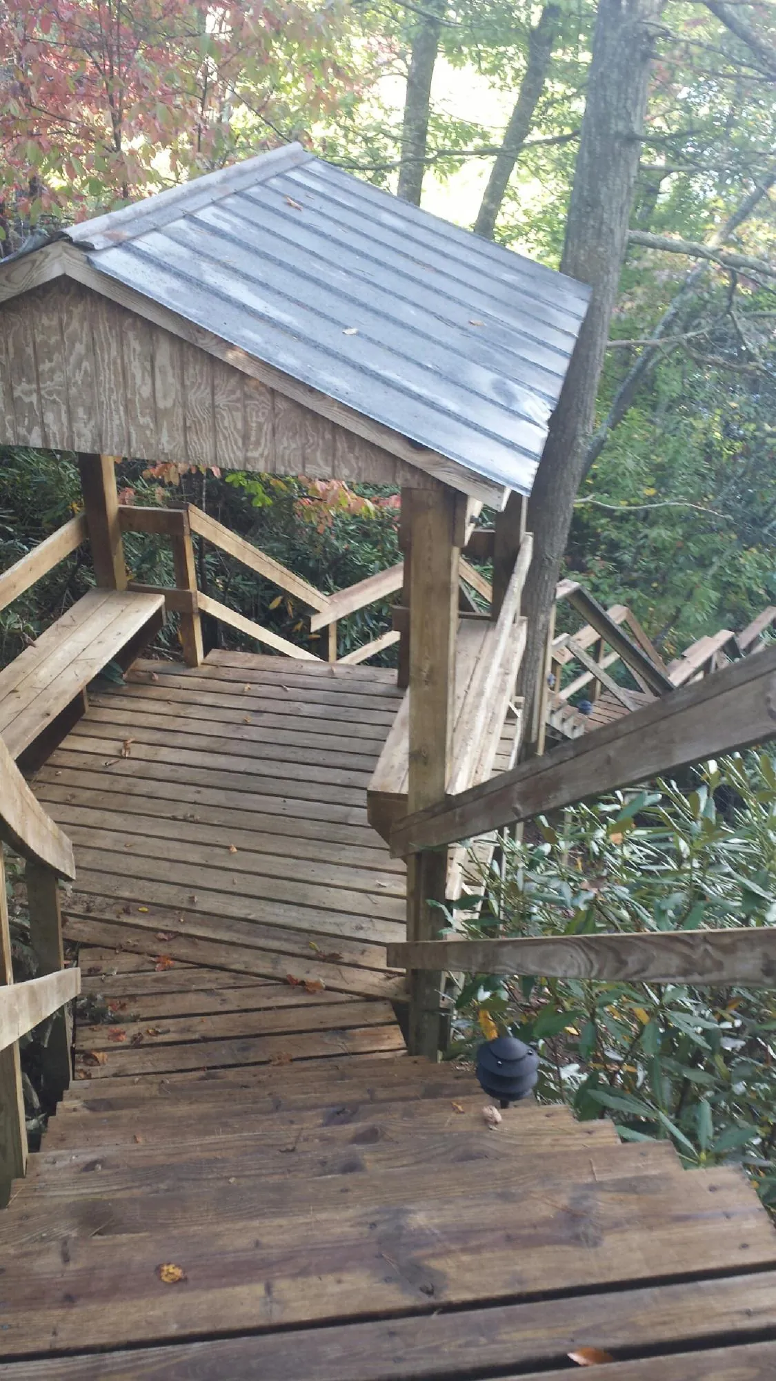 Metal roofed shelter over wooden steps on a wooded walkway — Skylight Repair & Installation work by our crew in Winger